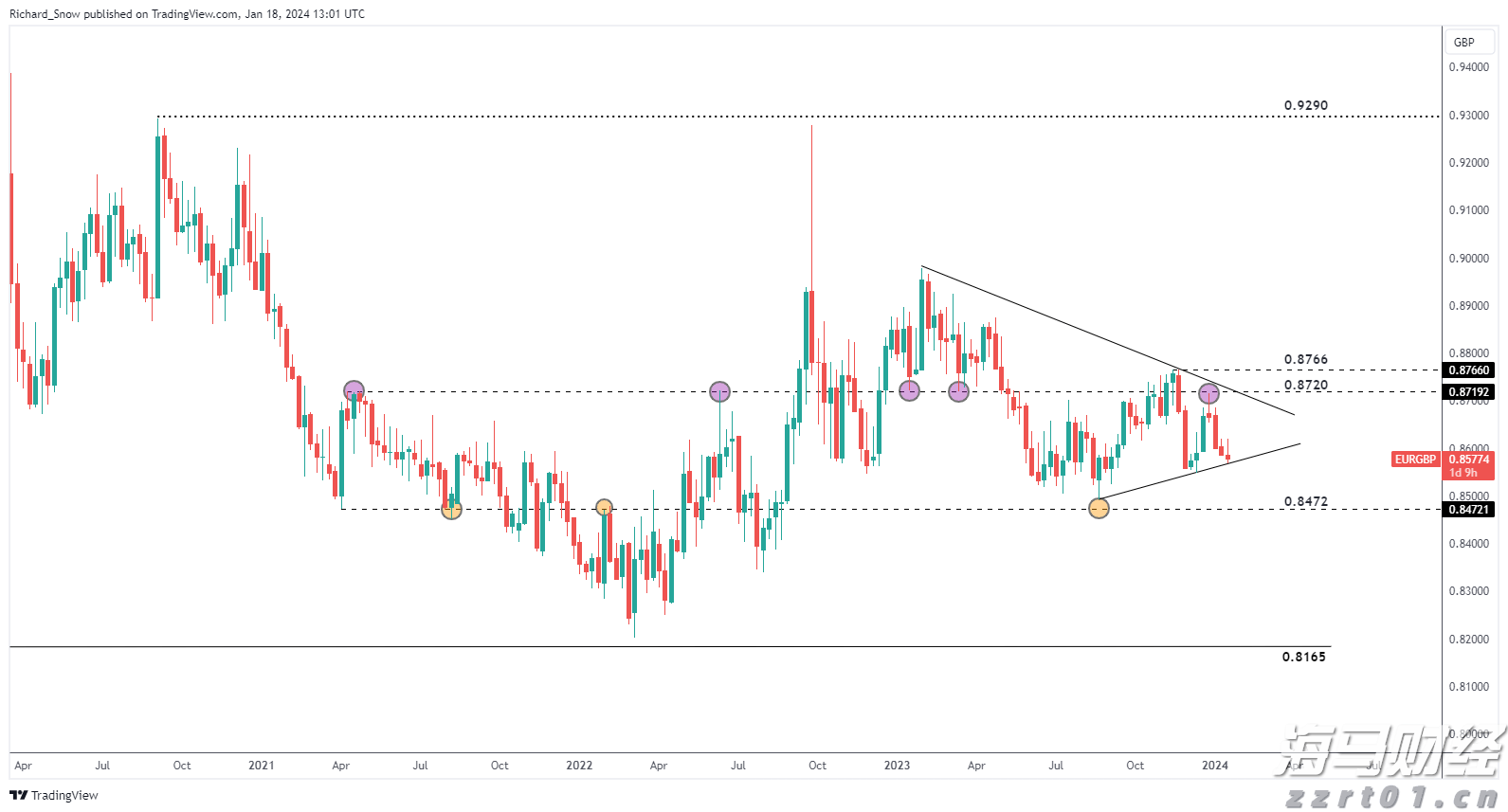 医我看｜被蚂蚁咬了别拖延！症状会延后 第一时间如何处理？