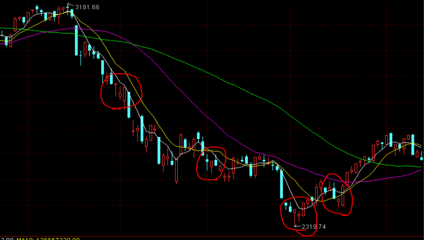 春节假期港南区接待游客近65万人次